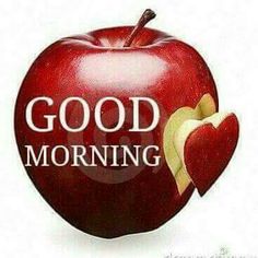 good morning gif images for whatsapp