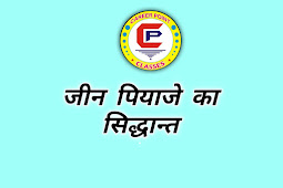 पियाजे का सिद्धान्त pdf download (Theory of Piaget in hindi pdf) पियाजे का सिद्धान्त pdf download (Theory of Piaget in hindi pdf)