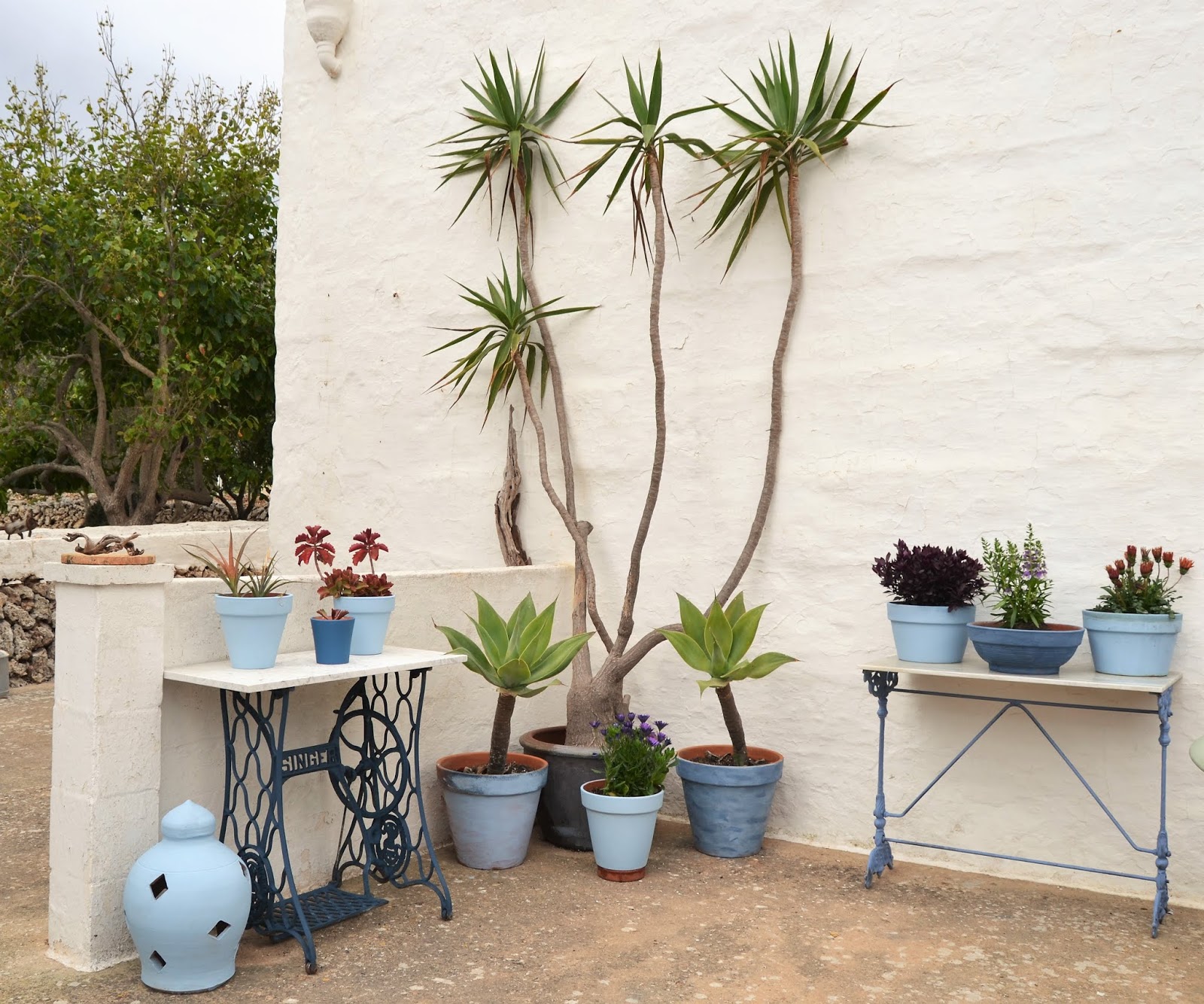 Decoración Con Plantas Exterior / Plantas Para Jardin Exterior