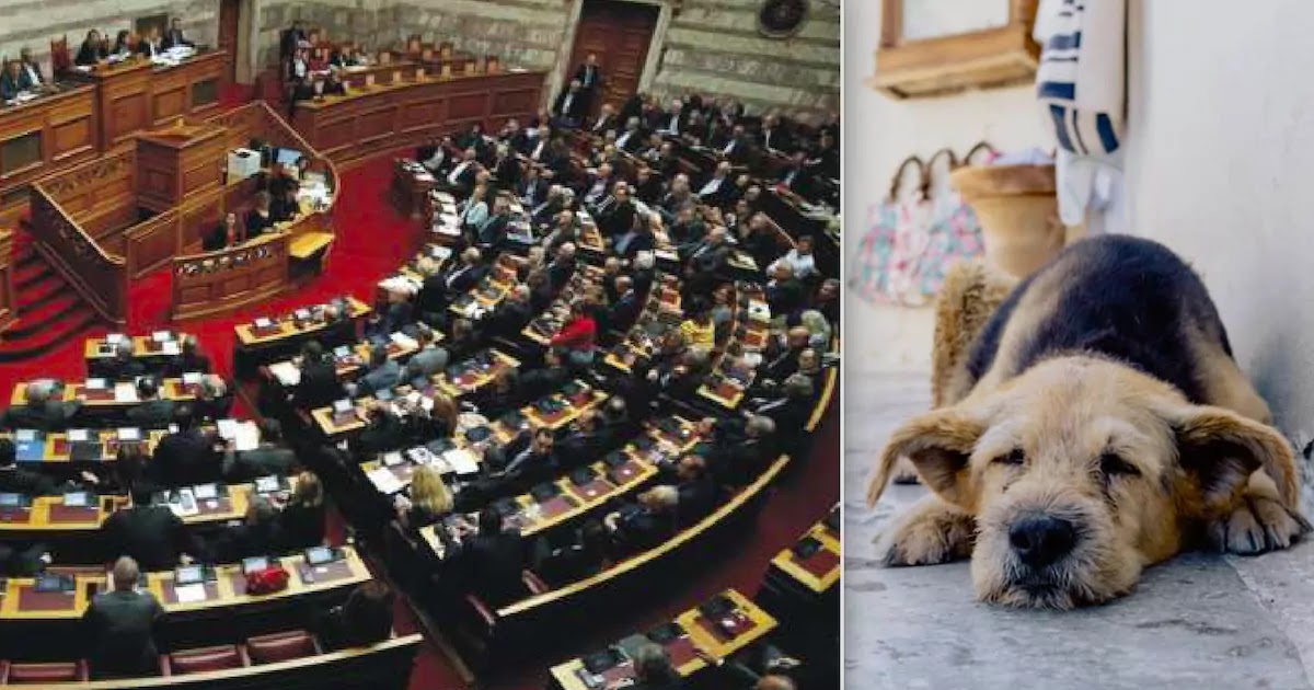 Greek Parliament Passes Law Sentencing Animal Abusers To Up To 10 Years In Prison Greek Parliament Passes Law Sentencing Animal Abusers To Up To 10 Years In Prison
