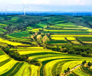 La Meseta de Loess. Lo que el viento se llevó 