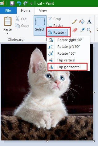 how-to-resize-an-image-in-microsoft-paint
