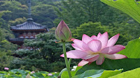 Thông báo tìm việc hàng tháng với người đang hưởng trợ cấp thất nghiệp.