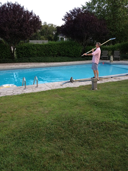 Bliss Farm Antiques: FRISBEE FUN IN THE BACK YARD; FAMILY 10, POOL 20