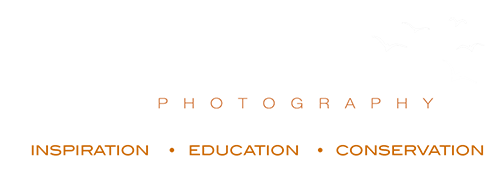 Jacqueline Deely Photography Blog