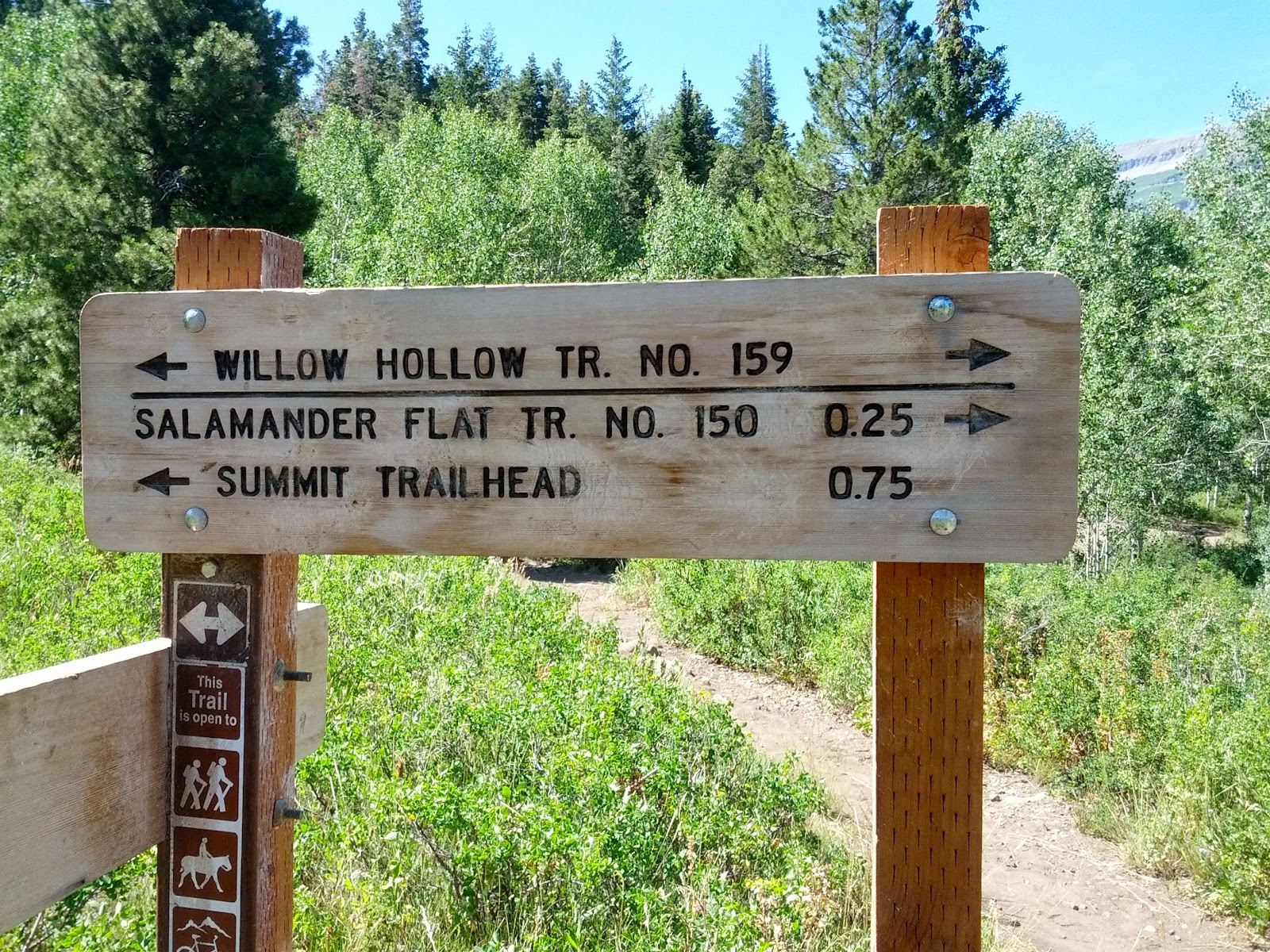 salamander flats campground