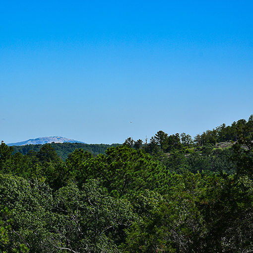 wanderlust ATLANTA Panola Mountain State Park