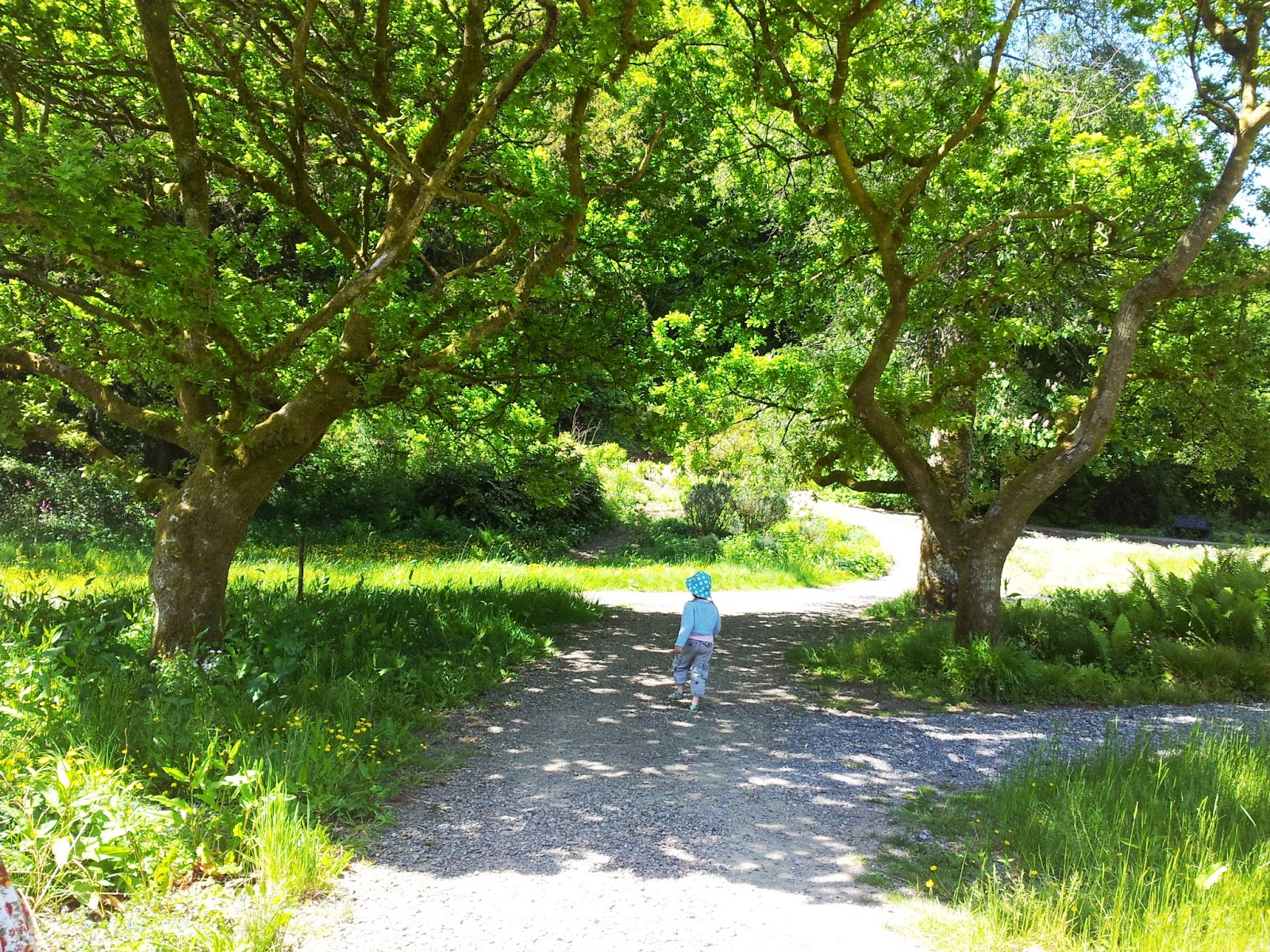 , A Beautiful Day Out at Colby Woodland Gardens National Trust Wales
