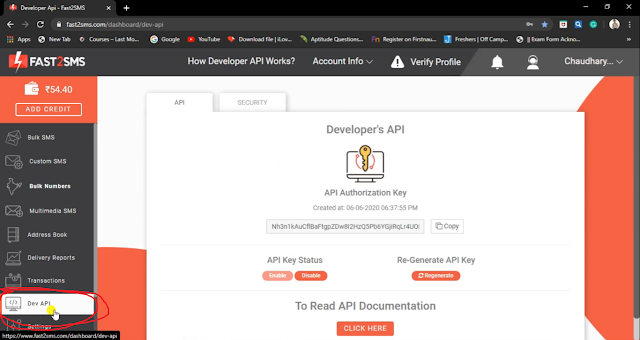 click on Dev API