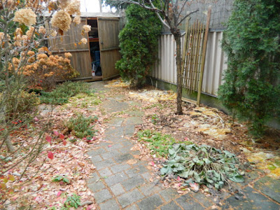 Toronto Oakwood Vaughan Backyard Fall Cleanup Before by Paul Jung Gardening Services--a Toronto Gardening Company Toronto Oakwood Vaughan Backyard Fall Cleanup Before by Paul Jung Gardening Services--a Toronto Gardening Company