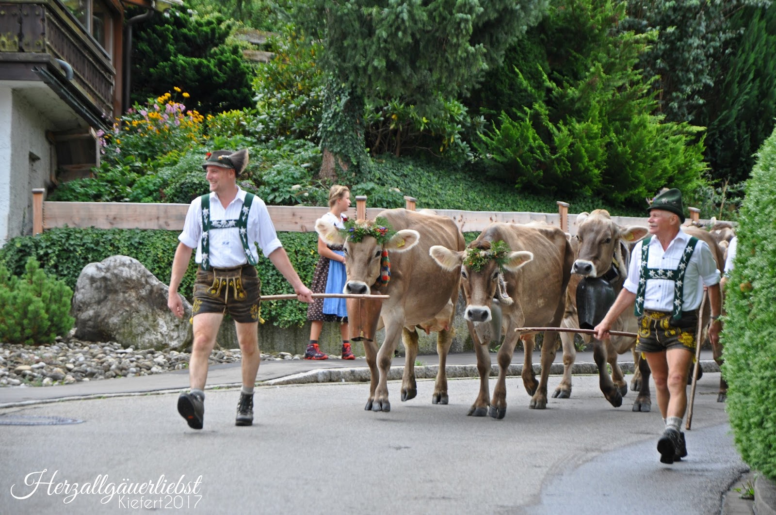 Https Driveeurope Co Uk 2016 11 24 Drink Driving In The Loire Https
