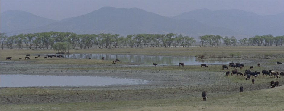 ARENAS SANGRENTAS (LEGENDADO/1080P) – 1956 FormatFactoryArenas%2BSangrentas%2B1956%2B1080p%2B%2528legendado%2529.mp4_snapshot_00.28.26.830