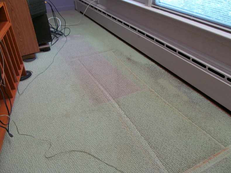 Exuberant Color A fun day......