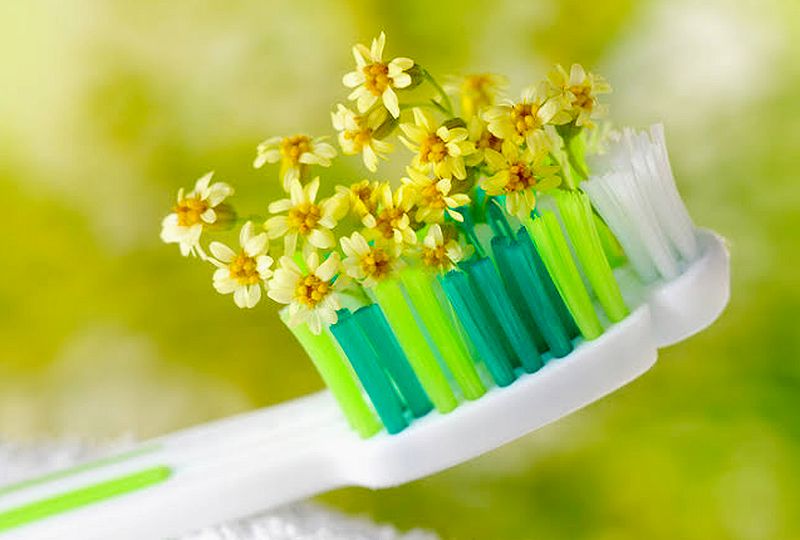 DENTAL HERBALISM Effective herbs for optimum Oral Health