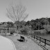 「福岡県営」中央公園のベンチ