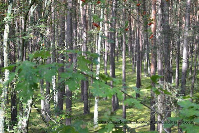 czas wolny czas wolny