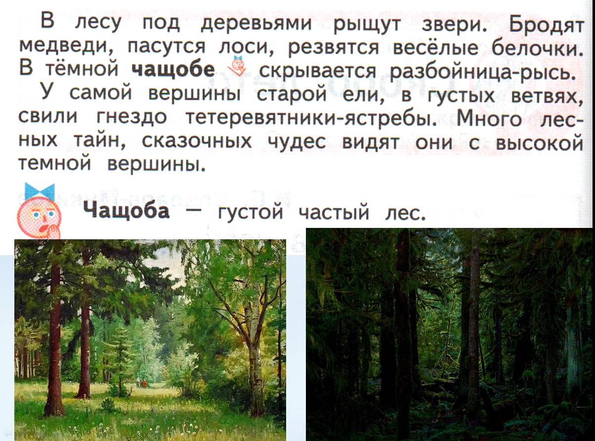 произведение русский лес соколов-микитов. рассказ о лесе. рассказ год в лесу. леонид леонов русский лес иллюстрации. тема экологии в художественной литературе.