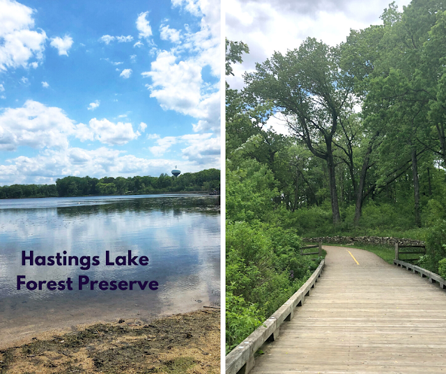Basking in Nature at Hastings Lake Forest Preserve in Lake Villa, Illinois