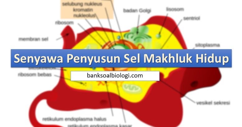 Senyawa Penyusun Sel Makhluk Hidup Bsb