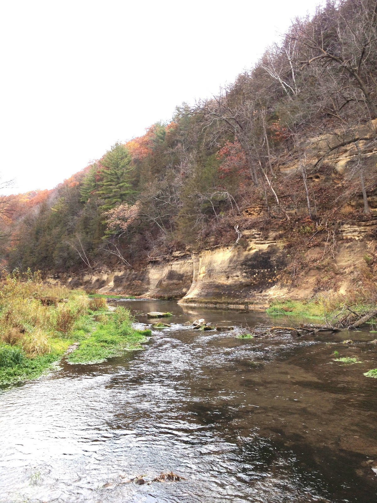 Travels with Rocky the Dog Whitewater State Park and the Root River Valley