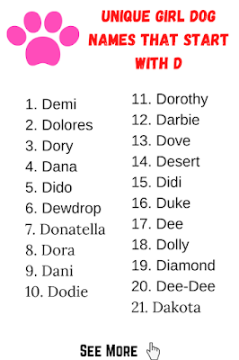 Unique Girl Dog Names That Start with D