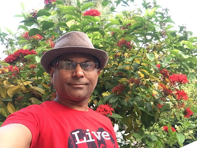 pinddaan article, gaya me barho maas pinddaan, AnjNewsMedia, pinddaan gaya, piddaan aalekh, pind daan, pind daan article