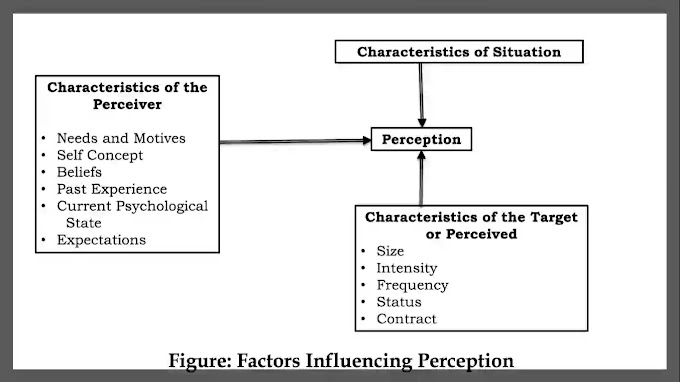   Managerial Implications and Factors Influencing Perception
