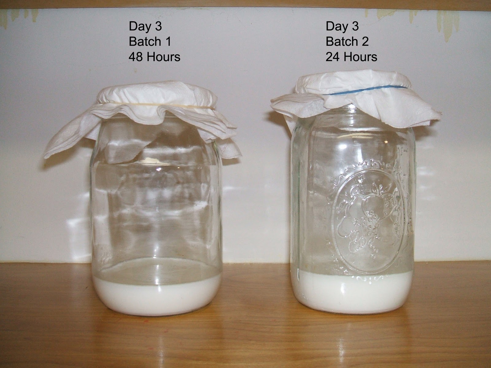 Zen Kefir Day 3 (Clean 2nd Fermentation Jar)