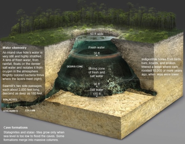 Blue Hole Explorers : Importance of Blue Holes