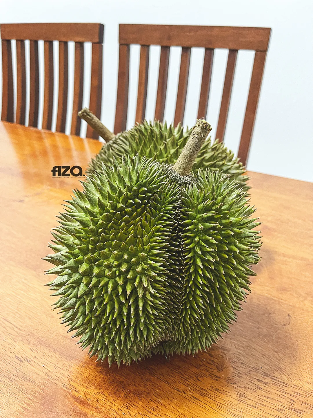 Musim Buah Durian