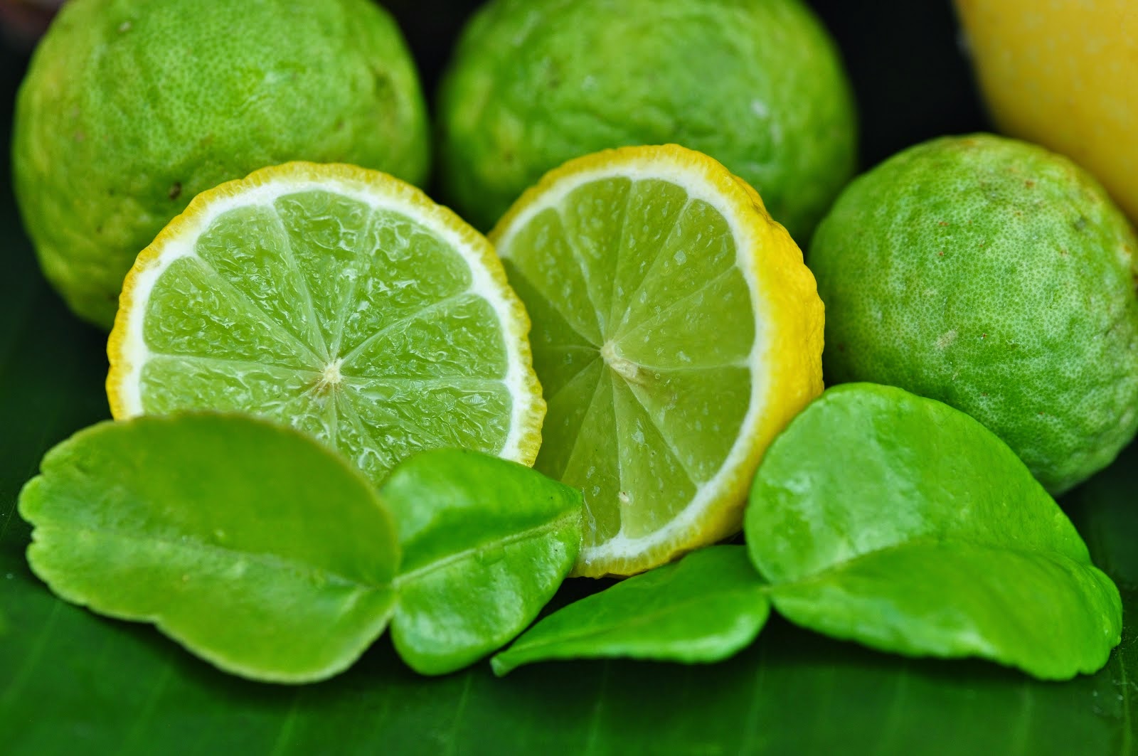 The curse of racist citrus names The kaffir lime