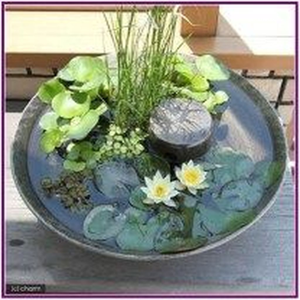20+ Attractive Indoor Water Garden Ideas For Enjoy Your Time