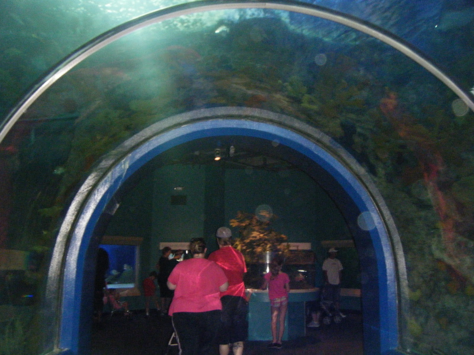 { LOCAL REVIEW } Audubon Aquarium of the Americas NOLA