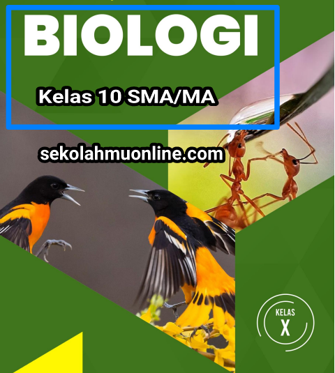 Rangkuman Biologi Kelas 10 Bab 11 Perubahan Lingkungan - SekolahMuOnline