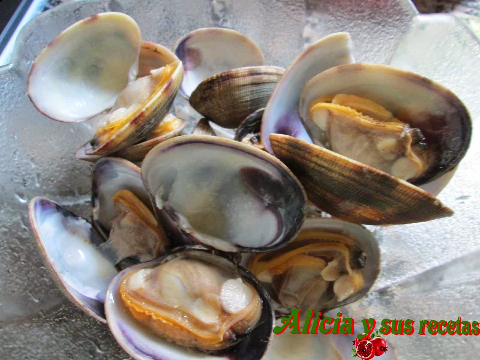Alicia y sus recetas: ALMEJAS FINAS RELLENAS DE BECHAMEL