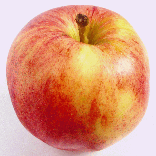 Gala Apple Gala Apple