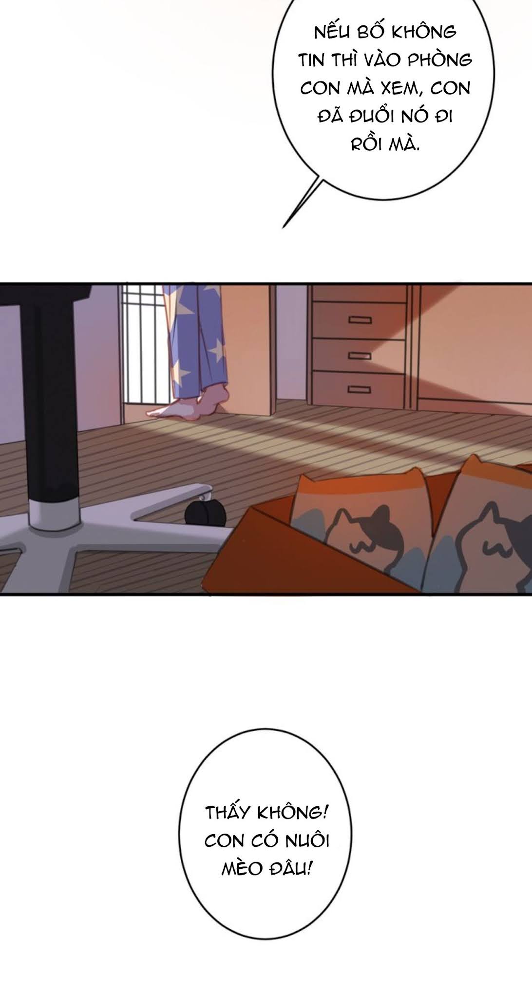 Đọc truyện Thế giới của một chú mèo - Chapter 8