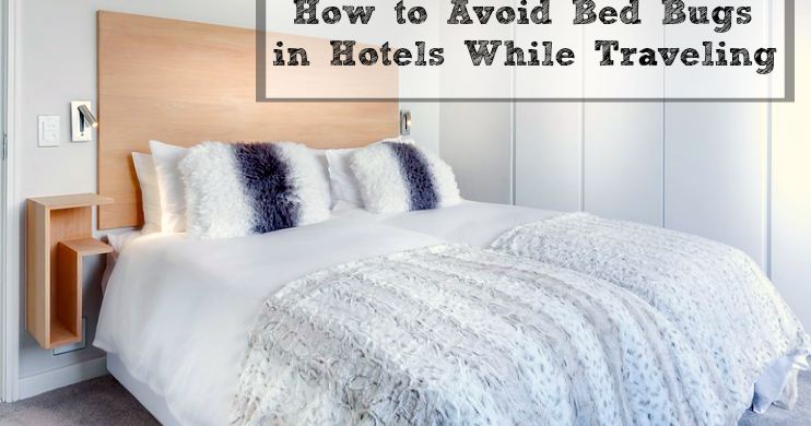 Pennsylvania Beyond Travel Blog How To Avoid Bed Bugs In Hotels pennsylvania-beyond-travel-blog-how-to-avoid-bed-bugs-in-hotels