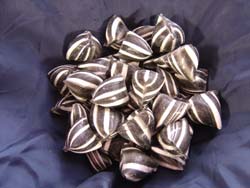 'Bah! Humbug!'? What is humbug?