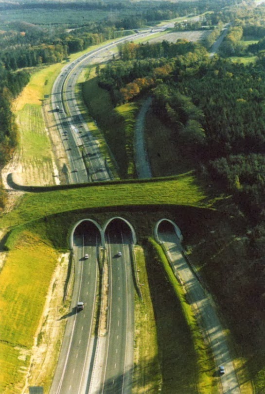 Puente ecológico ecoducto Países Bajos