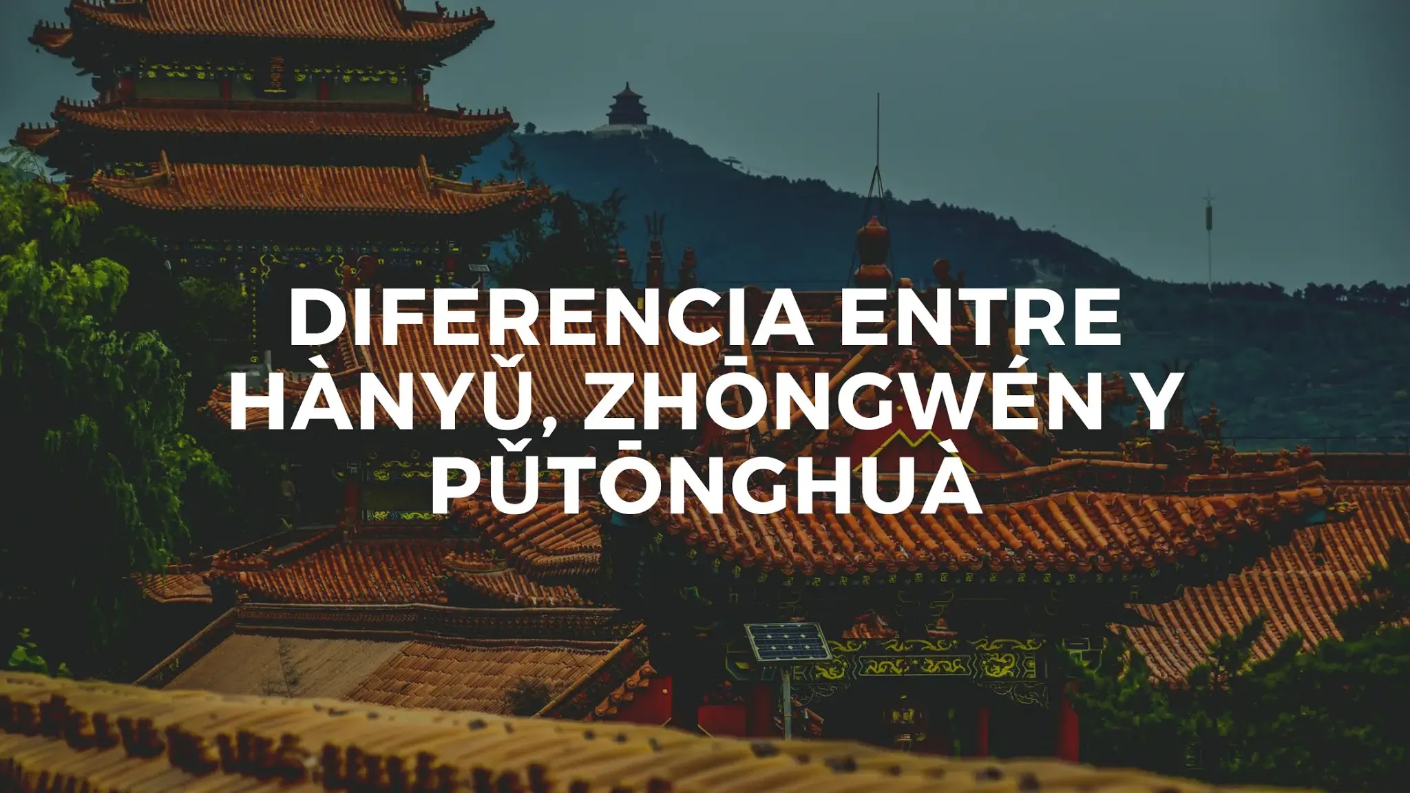 Diferencia entre Hànyǔ, Zhōngwén y Pǔtōnghuà ¿Cuál estudiar?