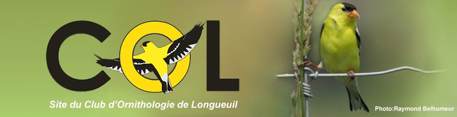 Club d'Ornithologie de Longueuil