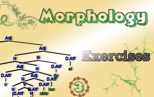 English Morphology Exercises - Part 3