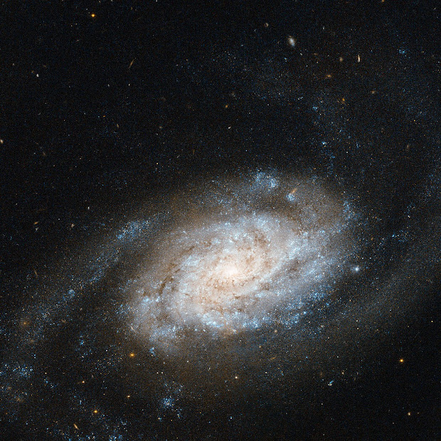Barred Spiral Galaxy NGC 3455