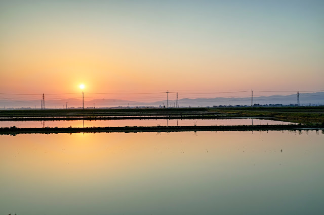 朧の朝日 / A hazy sunrize