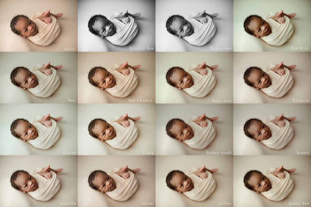 Meadow and Ash – Honey Collection Newborn Presets (XMP)