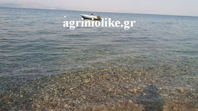 ÎÏοÏÎλεÏμα εικÏÎ½Î±Ï Î³Î¹Î± agriniolike Îιμενική αÏÏή