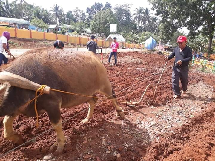 School principal goes viral for plowing school garden during ‘Brigada Eskwela’