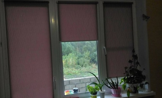 mara06061995 blogger