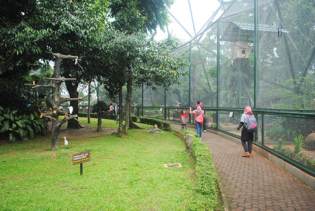 Download Desain Kandang Burung Di Taman Pictures